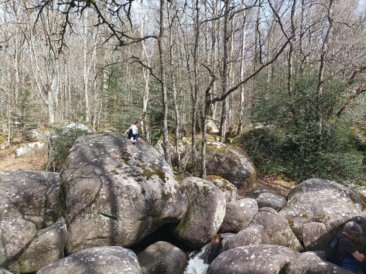Saint-Salvy-de-la-Balme Gite Le Coumis 1370 מראה חיצוני תמונה